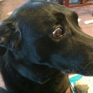 Meet your Posher, Cathy